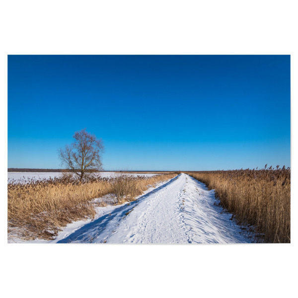 Poster "Deich bei Ahrenshoop" artboxONE - Natur,Reise