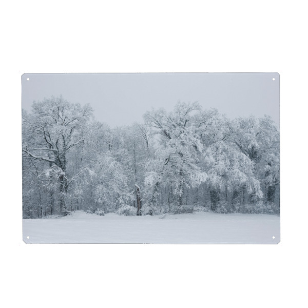 Holzbild "Snow covered forest in winter" artboxONE - Natur