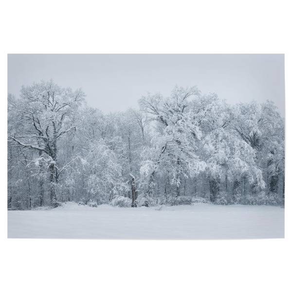 Poster 30x20 cm "Snow covered forest in winter" artboxONE - Natur