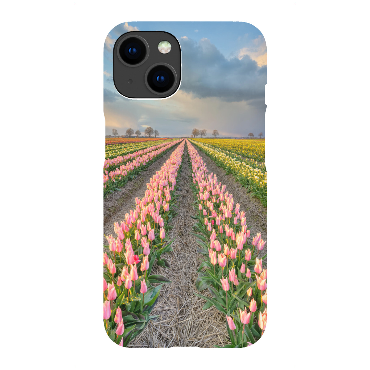 iPhone "Tulpenfeld im Rheinland" Premium-Case Handyhülle artboxONE