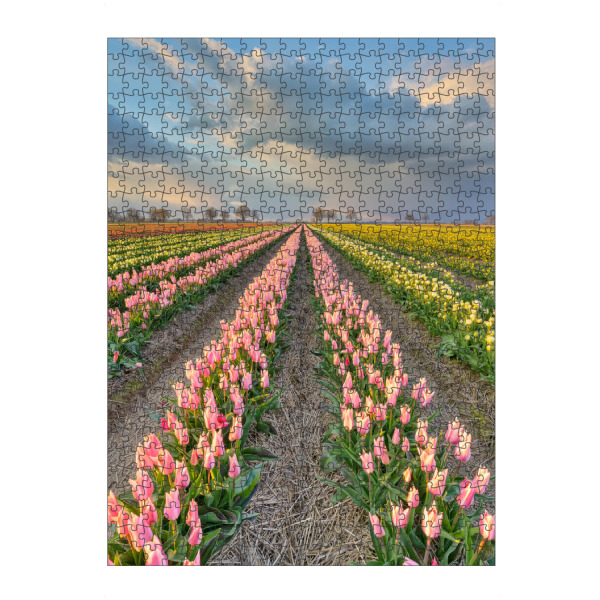 Puzzle Ravensburger "Tulpenfeld im Rheinland" artboxONE - Natur