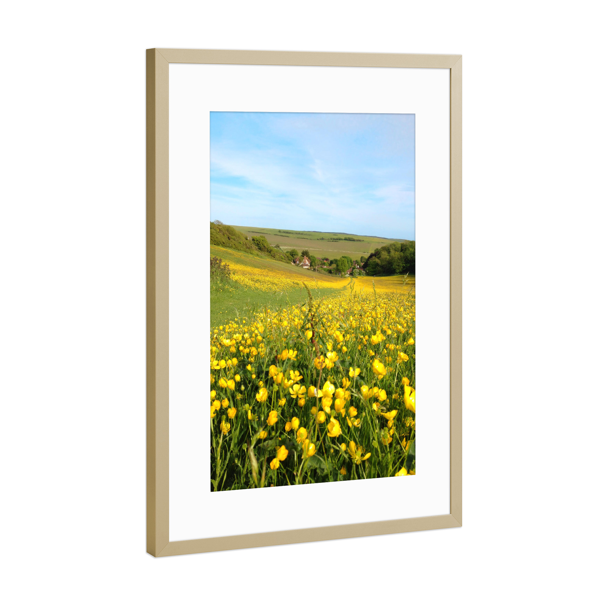 Poster mit Rahmen Gold "Blumenwiese in Süd England" artboxONE - Natur,Floral,Reise / Strand und Meer