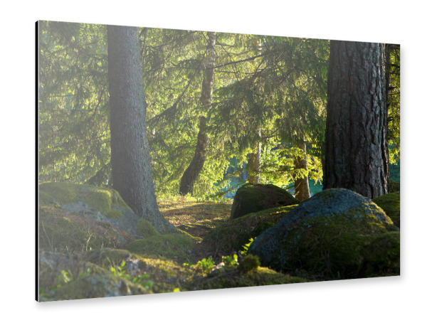 Alu-Dibond "Wald in Schweden" 30x20 cm artboxONE