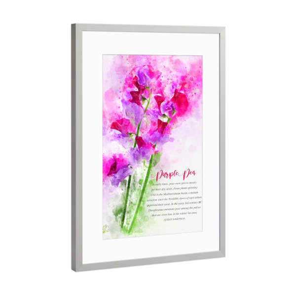 Poster mit Rahmen Silber "Purple Pea" artboxONE - Natur,Floral