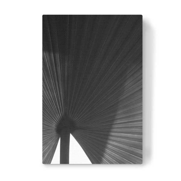 Leinwandbild "Palmenblatt schwarz-weiß" artboxONE - Natur,Floral,Abstrakt,Schwarzweiß,Für Mama