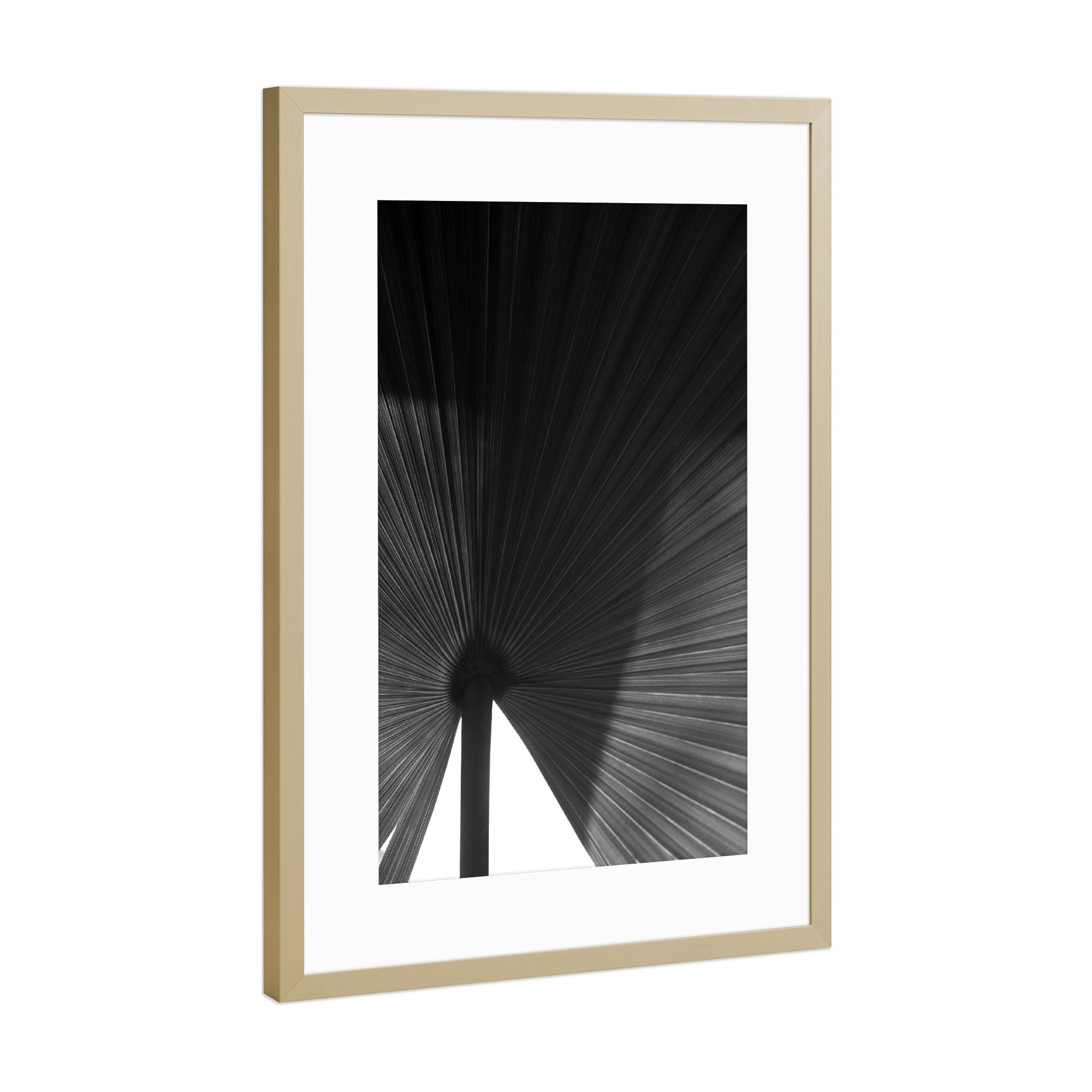 Poster mit Rahmen Gold "Palmenblatt schwarz-weiß" artboxONE - Natur,Floral,Abstrakt,Schwarzweiß,Für Mama