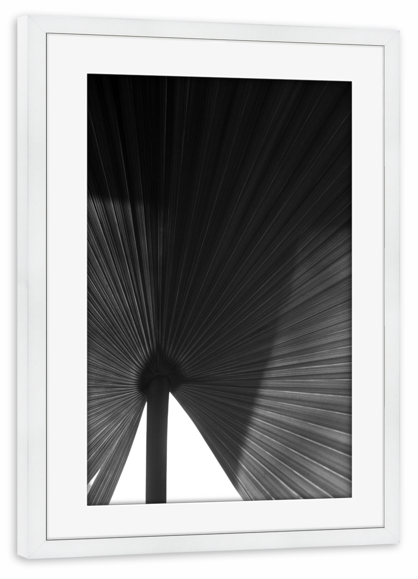 Poster mit Rahmen weiß "Palmenblatt schwarz-weiß" artboxONE - Natur,Floral,Abstrakt,Schwarzweiß,Für Mama