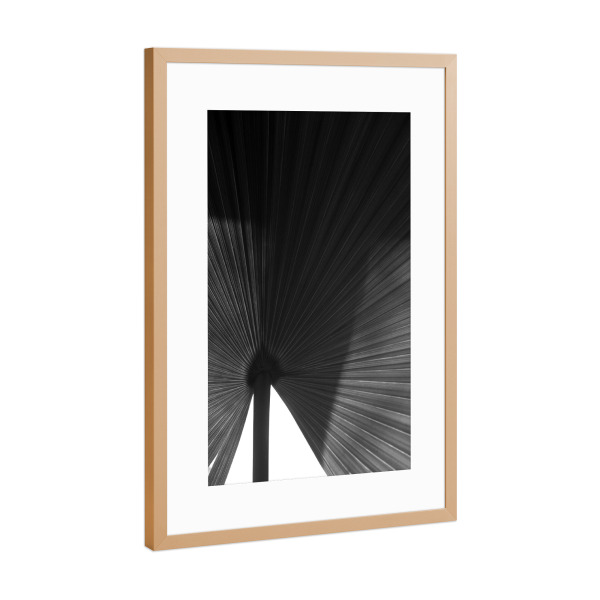 Poster mit Rahmen Kupfer "Palmenblatt schwarz-weiß" artboxONE - Natur,Floral,Abstrakt,Schwarzweiß,Für Mama