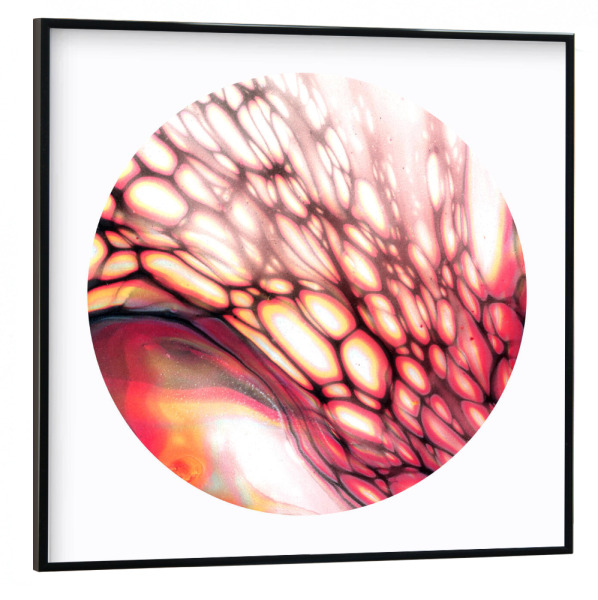 Poster mit schwarzem Rahmen 30x30 cm "Rote Zellen" artboxONE - Abstrakt
