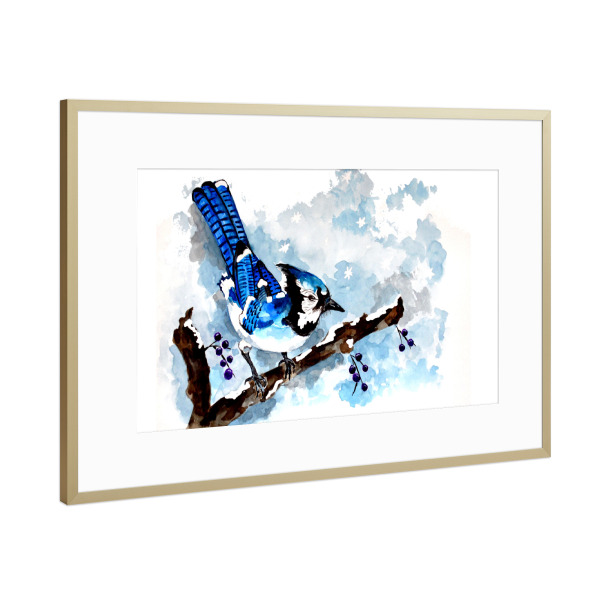 Poster mit Rahmen Gold "Blue Jay in Winter" artboxONE - Natur,Tiere