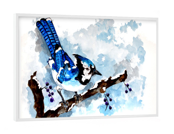 Poster mit weißem Rahmen "Blue Jay in Winter" artboxONE - Natur,Tiere