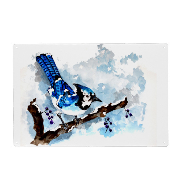 Metall Poster "Blue Jay in Winter" artboxONE - Natur,Tiere
