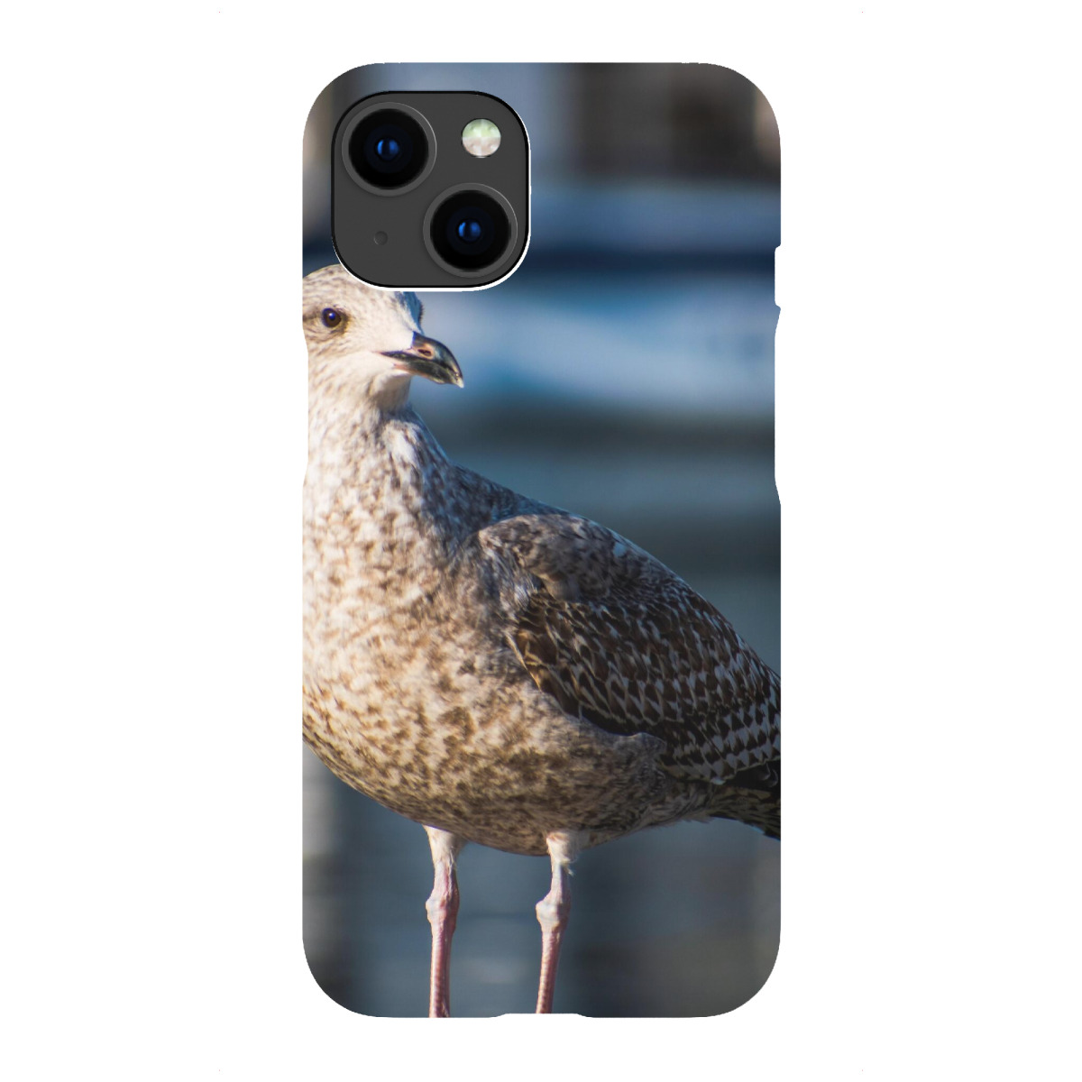 "Möwe auf einer Brüstung"für iPhone - Premium-Case Handyhülle artboxONE