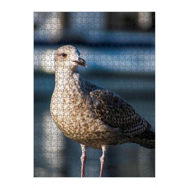 Puzzle Ravensburger "Möwe auf einer Brüstung" artboxONE - Natur,Tiere,Reise / Strand und Meer