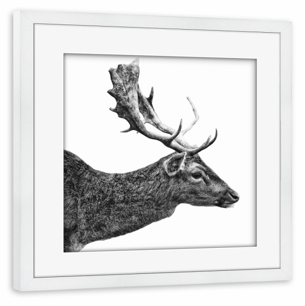 Poster mit Rahmen weiß "Porträt eines Hirsches" artboxONE - Tiere,Schwarzweiß