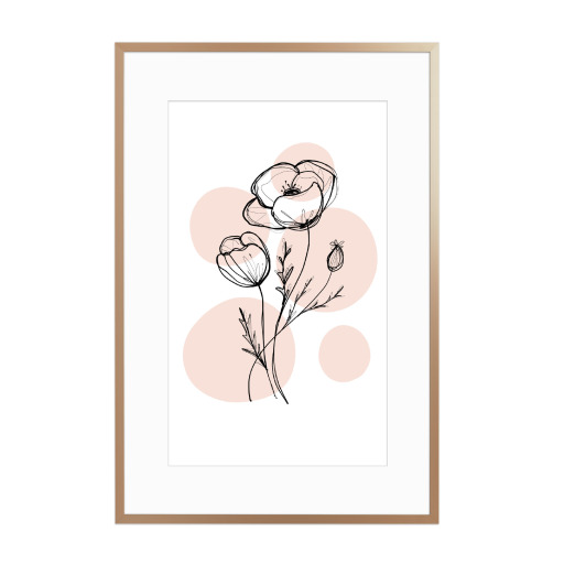 Buffiere-Botanicals Mohnblume