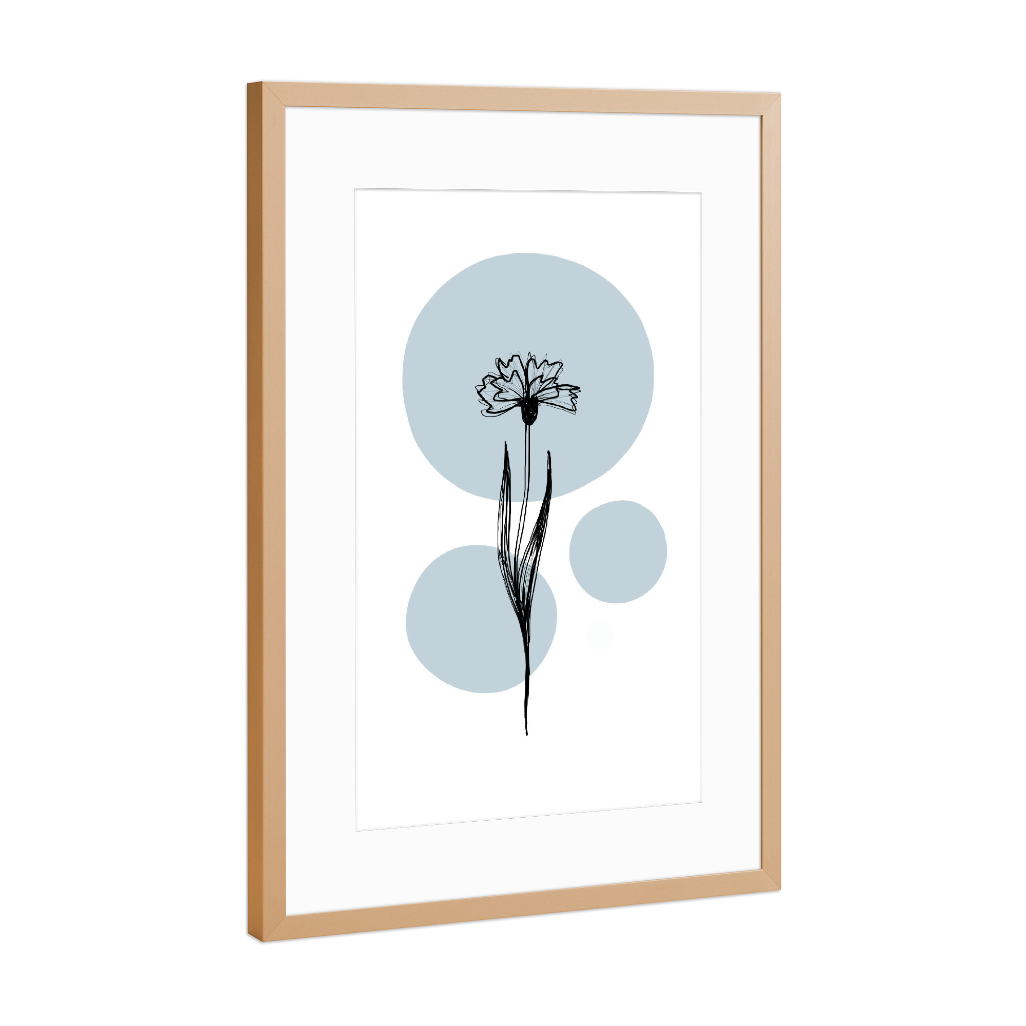 Poster mit Rahmen Kupfer "Buffiere-Botanicals Kornblume" artboxONE - Natur,Floral