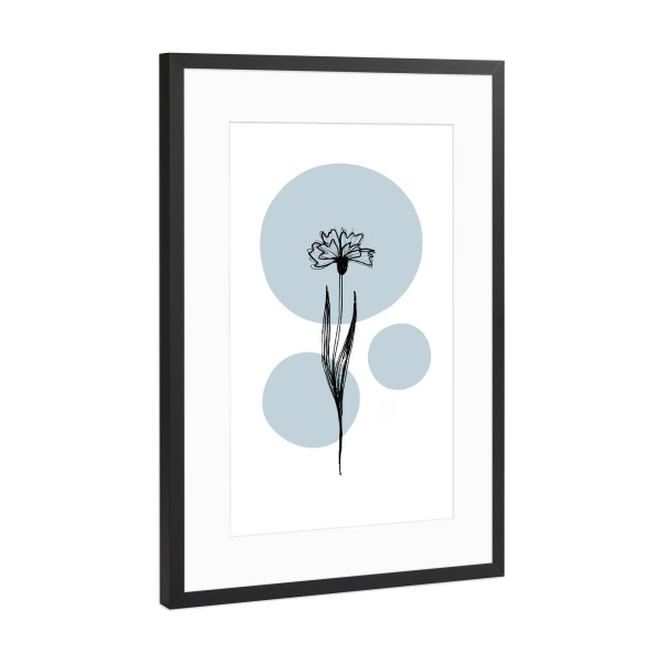 Poster mit Rahmen Schwarz (Metallic) "Buffiere-Botanicals Kornblume" artboxONE - Natur,Floral