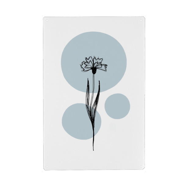 Metall Poster "Buffiere-Botanicals Kornblume" artboxONE - Natur,Floral