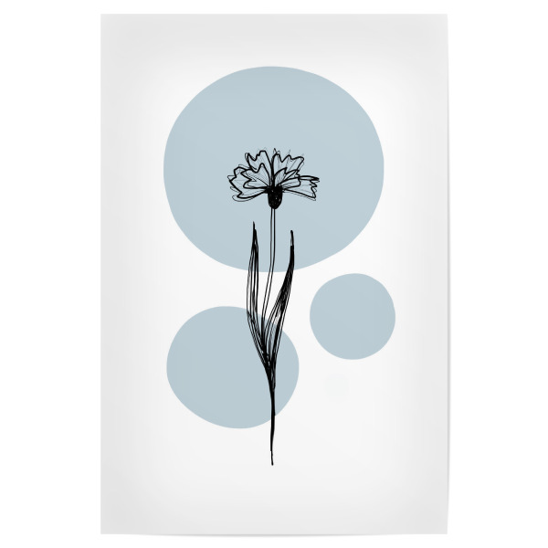 Poster "Buffiere-Botanicals Kornblume" artboxONE - Natur,Floral