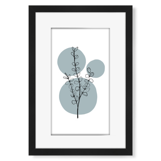 Delicate Botanicals Eucalyptus