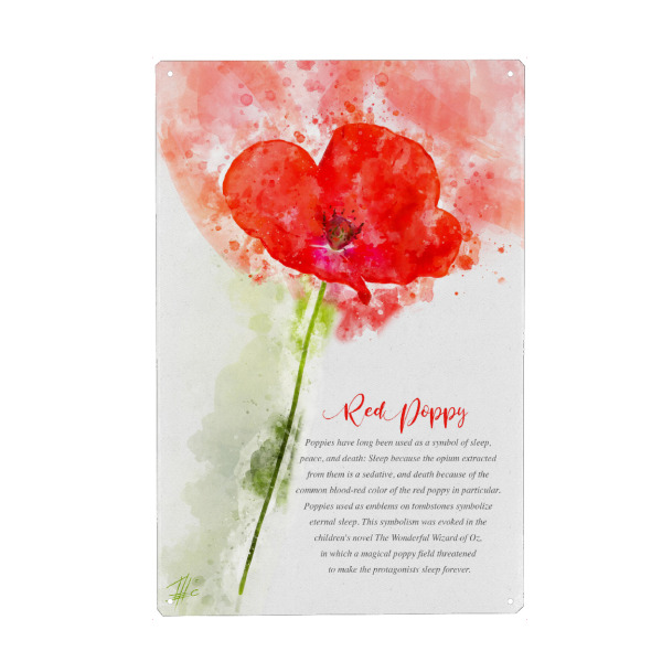 Holzbild "Red and Green Poppy" artboxONE - Natur,Floral
