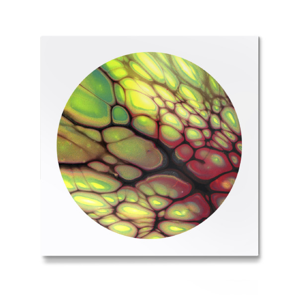 Galerie-Print "The colorful Cells - Art" 30x30 cm artboxONE