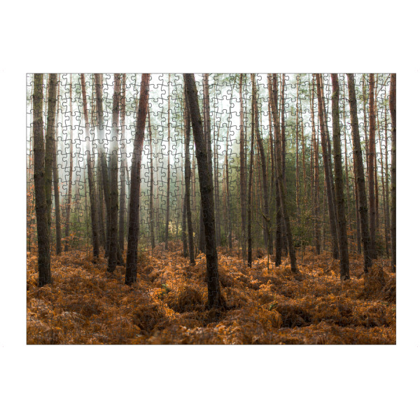 artboxONE Puzzle "Der Wald und die Bäume" artboxONE - Natur - Bäume,Licht,Sonne,Natur,Landschaft,Trees,Light,Nature,Wald,Forest - Bild bäume