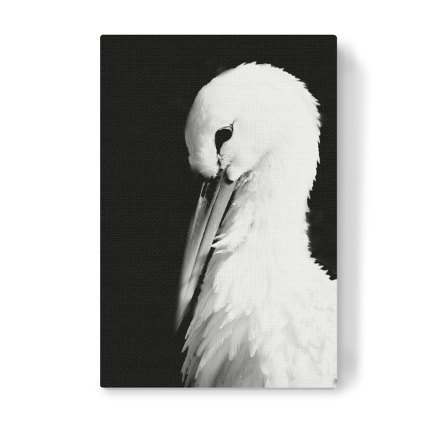 Leinwandbild "Storch" artboxONE - Natur,Reise,Schwarzweiß