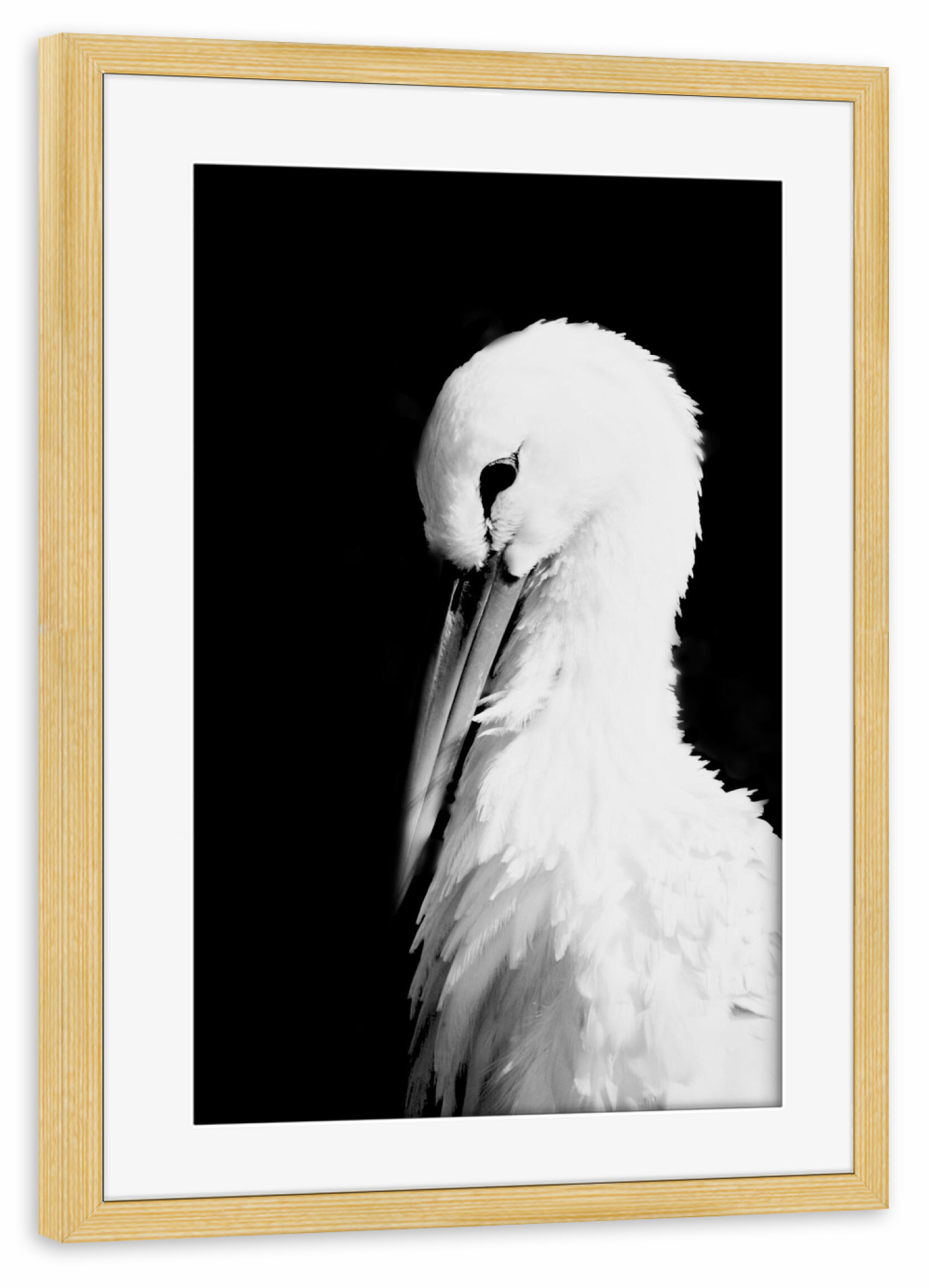 Poster mit Rahmen kiefer "Storch" artboxONE - Natur,Reise,Schwarzweiß