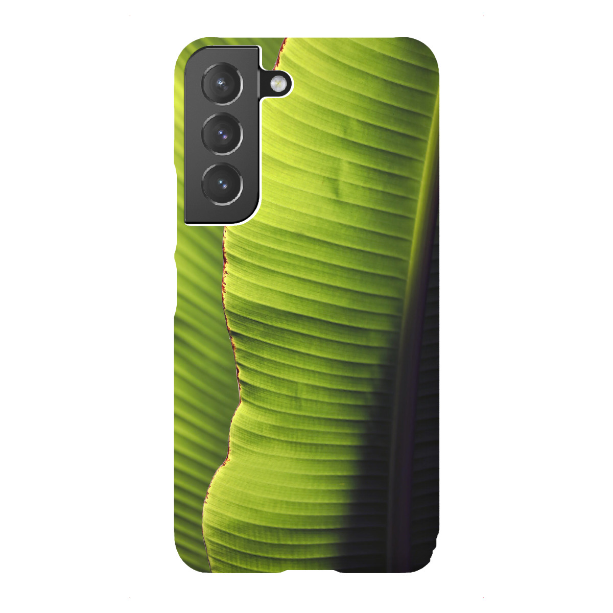 Samsung Galaxy "Bananen Blatt Detail" Premium-Case Handyhülle artboxONE
