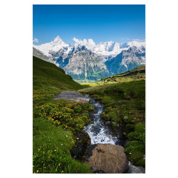 Poster 30x20 cm "View from Grindelwald First" artboxONE - Natur,Reise,Reise / Länder