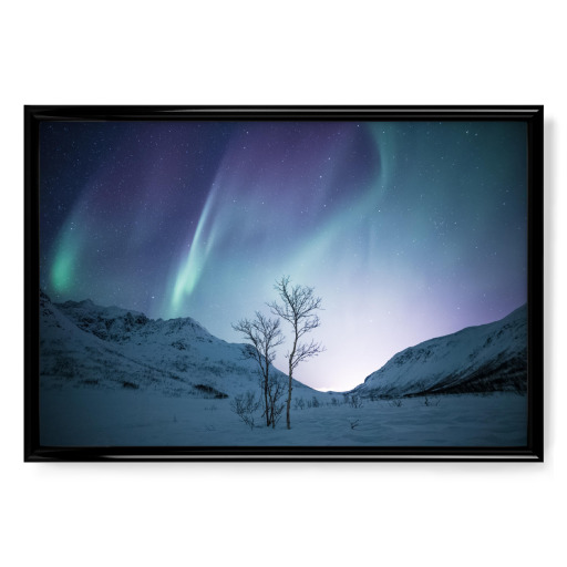 Colourful Winter Colourful Winter