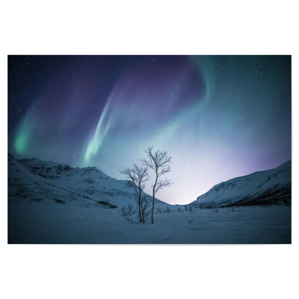 Poster 30x20 cm "Colourful Winter" artboxONE - Natur