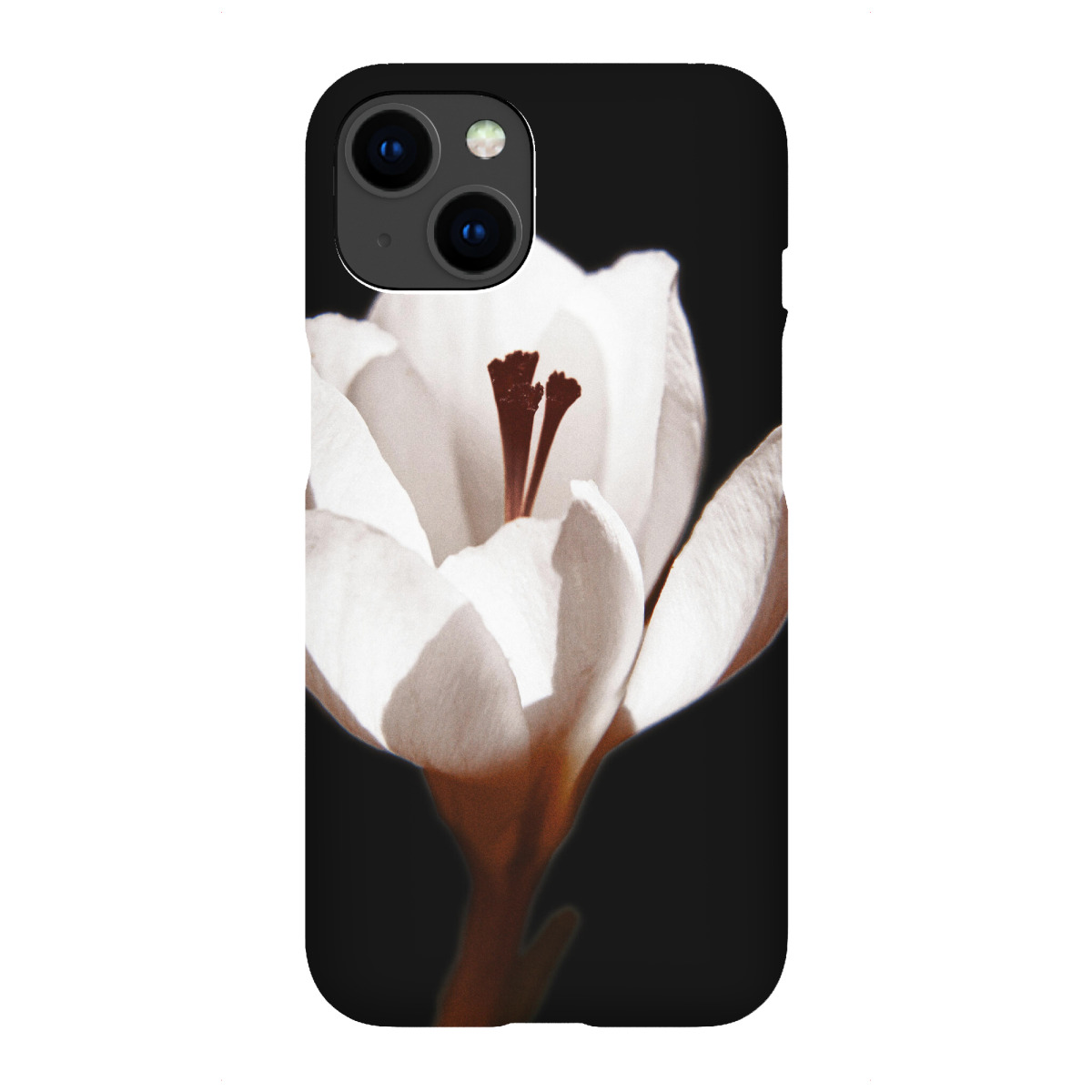 "Florale Nostalgie schwarz & weiß"für iPhone - Premium-Case Handyhülle artboxONE