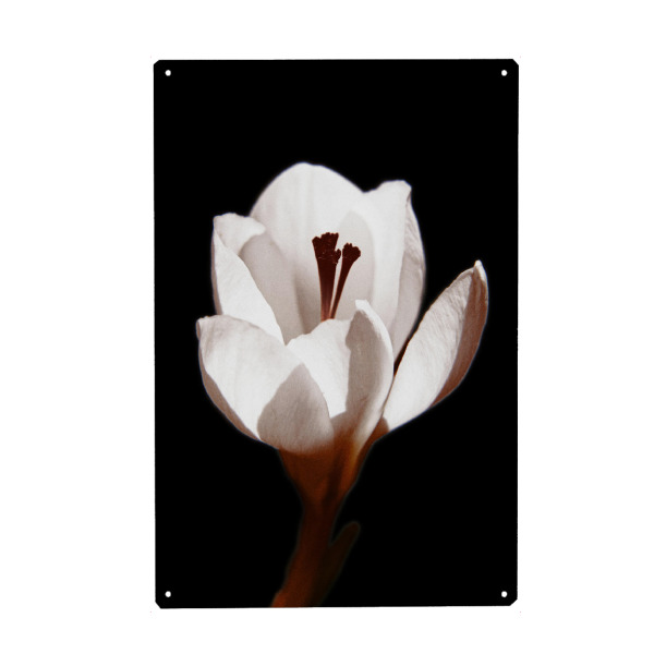 Holzbild "Florale Nostalgie schwarz & weiß" artboxONE - Natur,Floral,Abstrakt,Für Mama