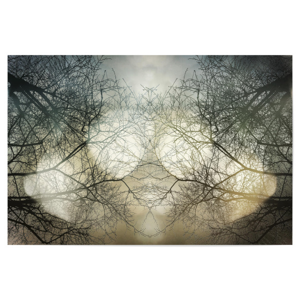 Poster "Touching The Sky Tonight" artboxONE - Natur - Himmel,Natur,Bäume,Trees,Sky,Nature,Wald,Forest