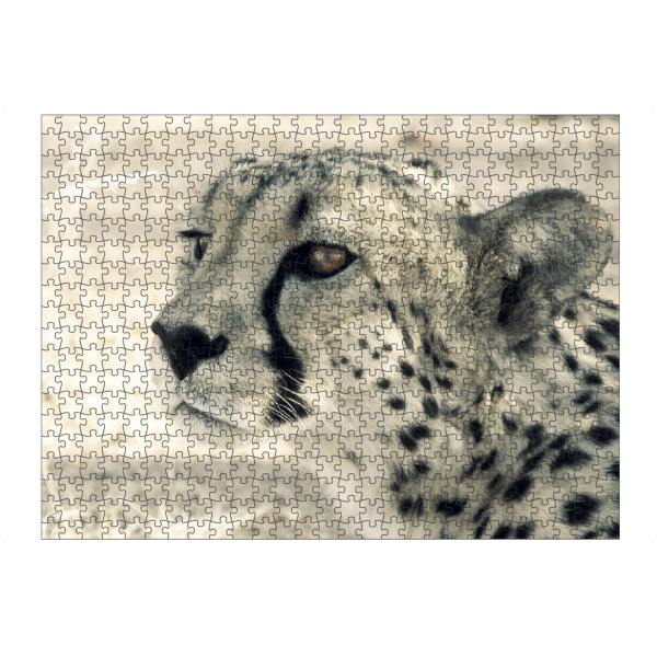 Puzzle Ravensburger "Cheetah Head" artboxONE - Reise,Tiere,Reise / Afrika
