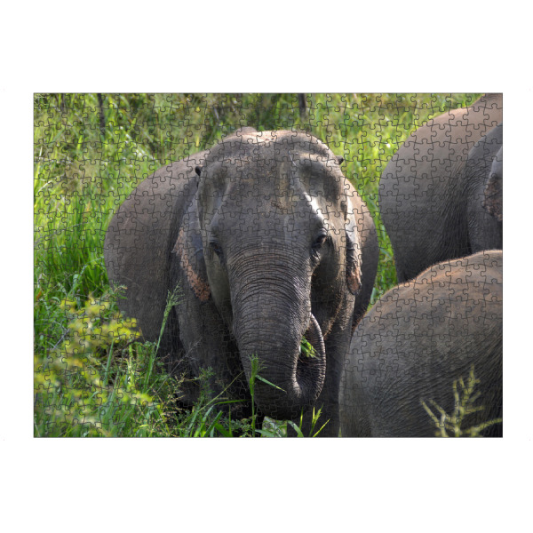 artboxONE Puzzle "Asian Elephant" artboxONE - Natur,Tiere