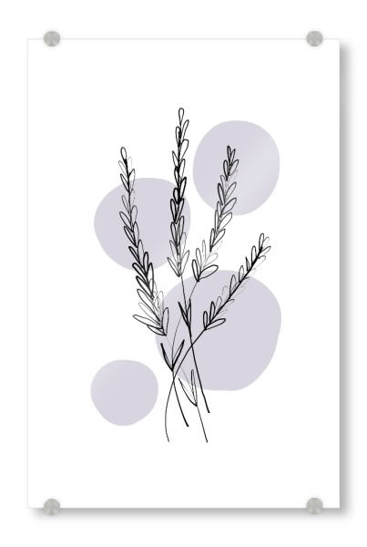 Acrylglasbild "Buffiere-Botanicals Lavendel" artboxONE - Natur,Floral