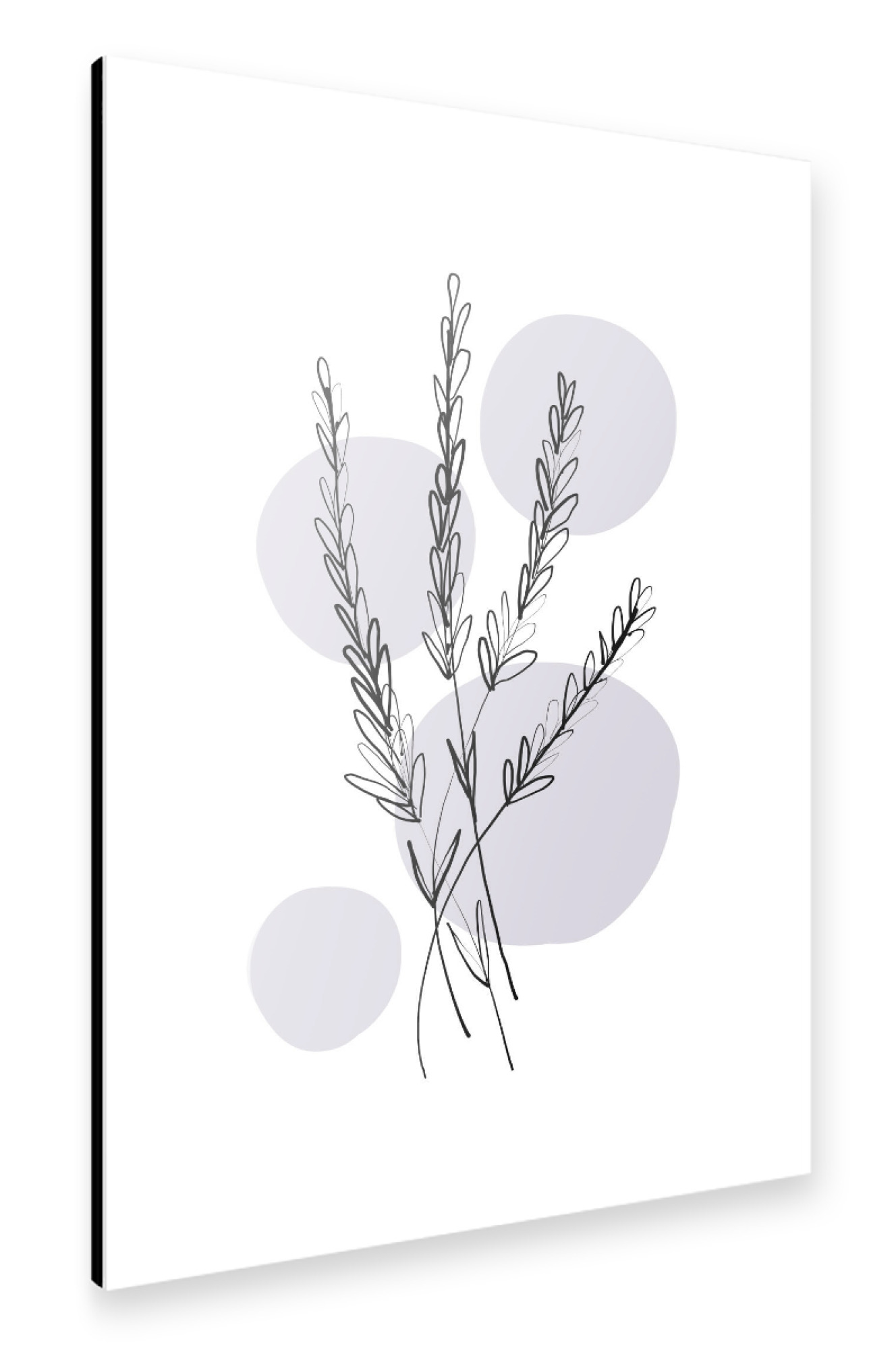 Alu-Dibond "Buffiere-Botanicals Lavendel" 30x20 cm artboxONE