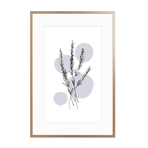 Buffiere-Botanicals Lavendel