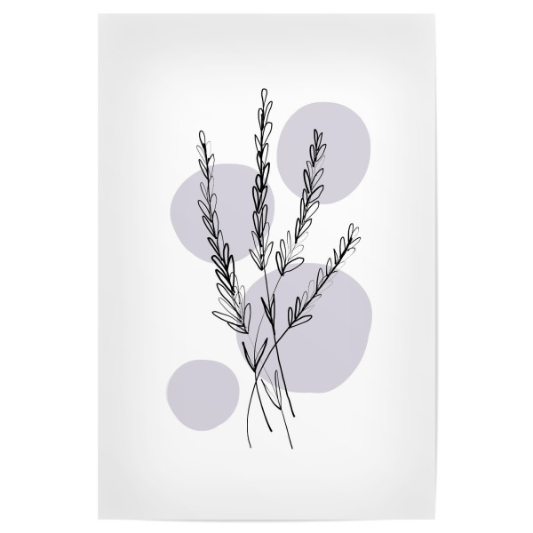 Poster 30x20 cm "Buffiere-Botanicals Lavendel" artboxONE - Natur,Floral