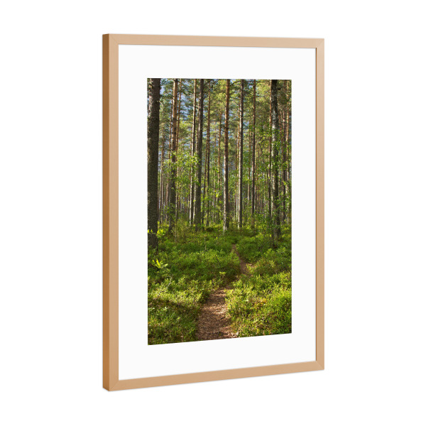 Poster mit Rahmen Kupfer "Waldweg in Finnland" artboxONE - Natur,Reise,Reise / Länder