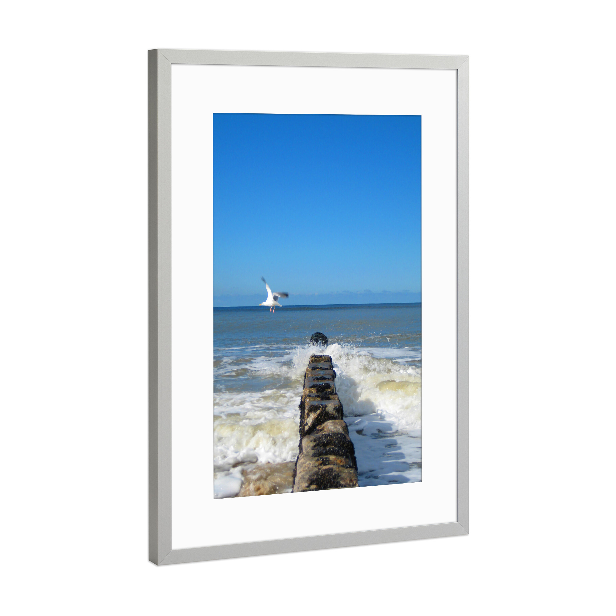 Poster mit Rahmen Silber "Möwe am Meer" artboxONE - Natur,Tiere,Reise / Strand und Meer