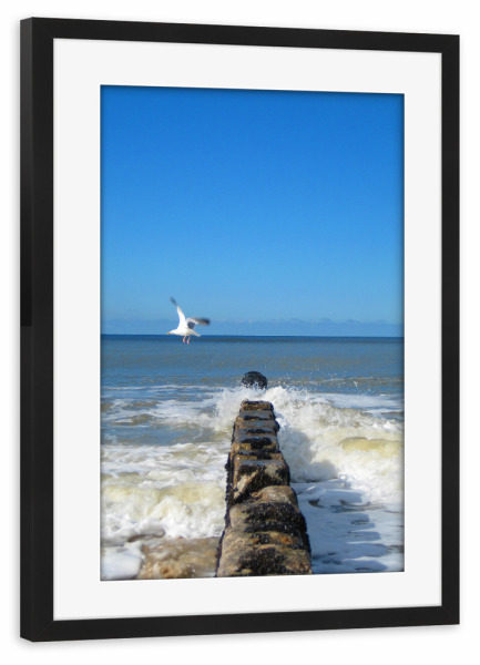 Poster mit Rahmen schwarz "Möwe am Meer" artboxONE - Natur,Tiere,Reise / Strand und Meer