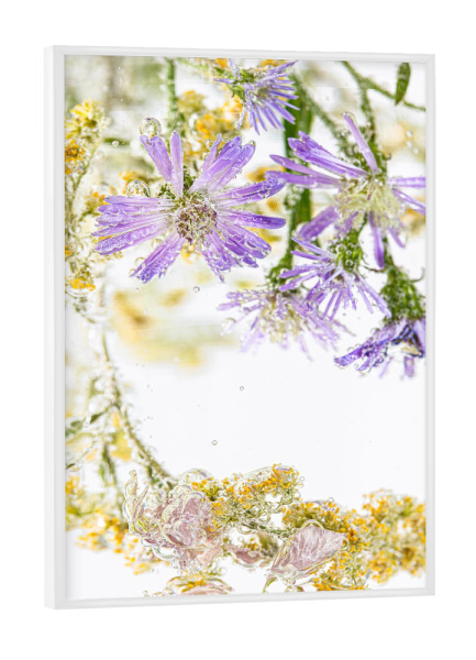 Poster mit weißem Rahmen "Frühlingsblüher im Wasser" artboxONE - Natur,Floral