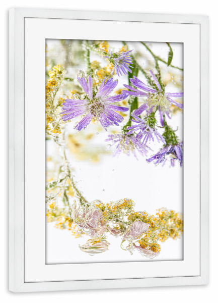 Poster mit Rahmen weiß "Frühlingsblüher im Wasser" artboxONE - Natur,Floral