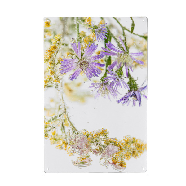 Holzbild "Frühlingsblüher im Wasser" artboxONE - Natur,Floral