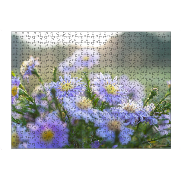 Puzzle Ravensburger "Kornblumen in der Sonne" artboxONE - Natur,Floral - Kornblumen,Blumen,Wildblumen,Sonne,Gegenlicht,Floral,Natur,Nature,Flowers